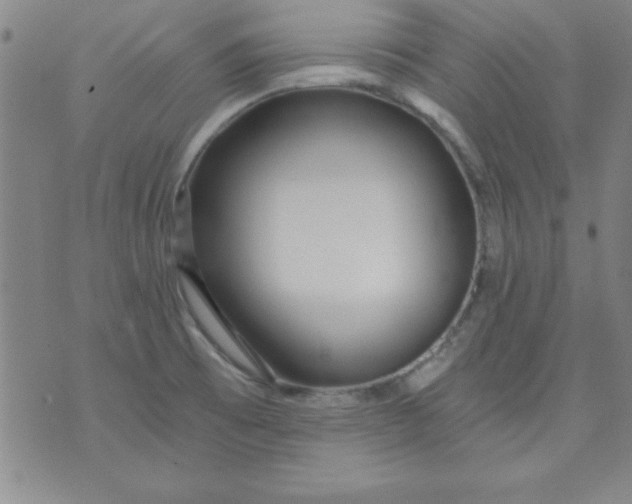 X0000071331473200607141853