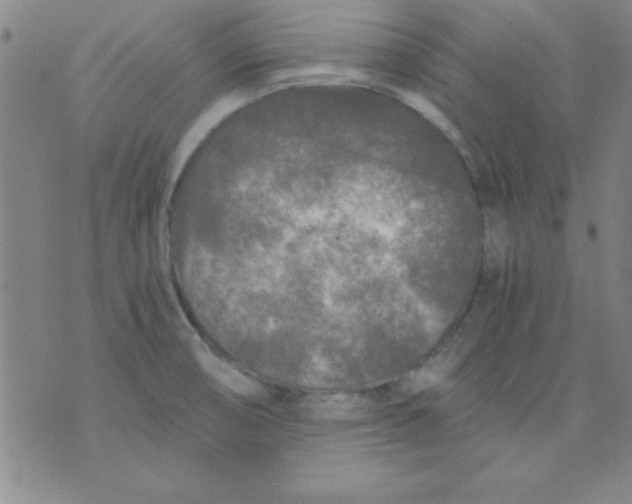 X0000071331474200607141853