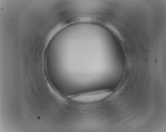 X0000071331475200607141853