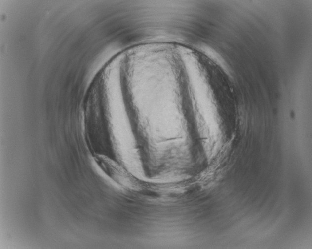 X0000071331476200607141853