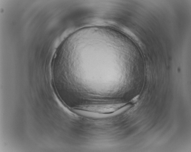 X0000071331479200607141853