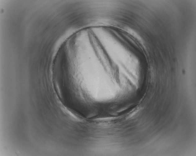 X0000071331480200607141853