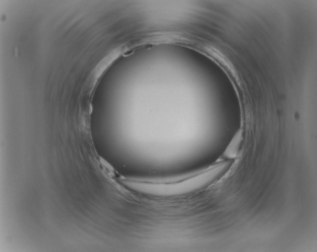 X0000071331481200607141853