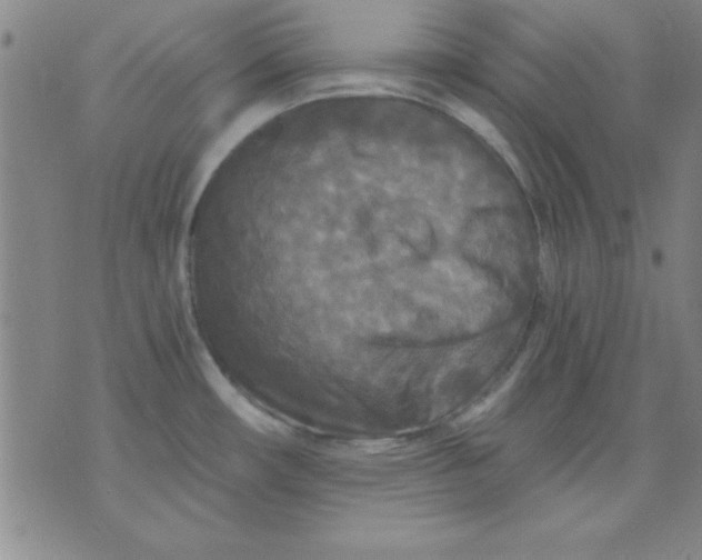 X0000071331482200607141853