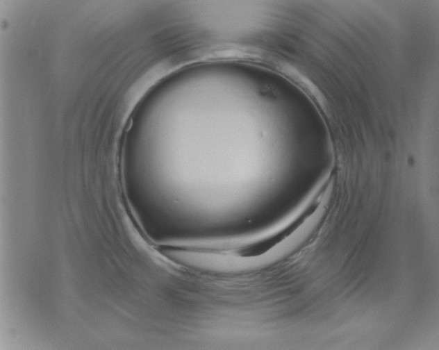 X0000071331483200607141853