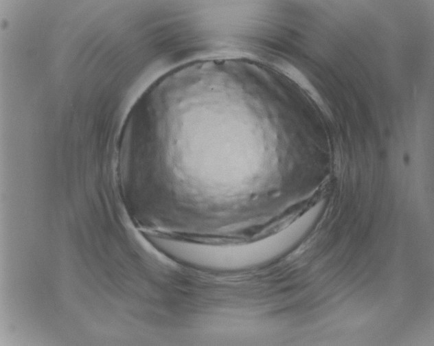 X0000071331484200607141853