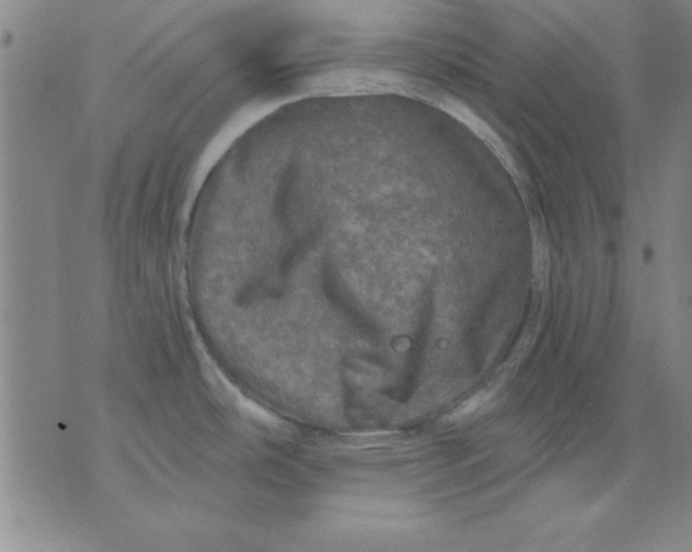 X0000071331486200607141853