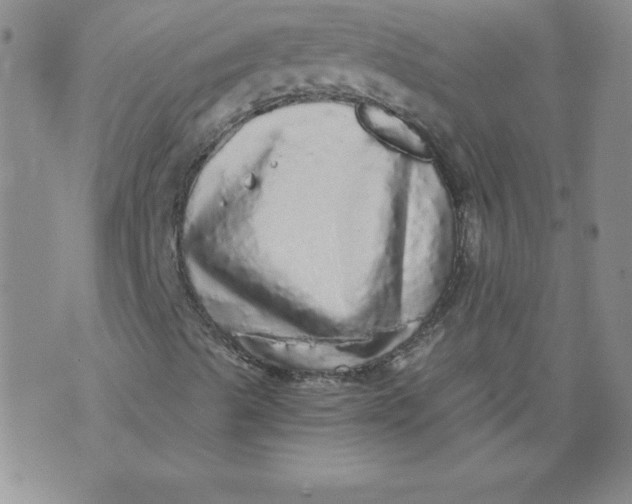 X0000071331489200607141852