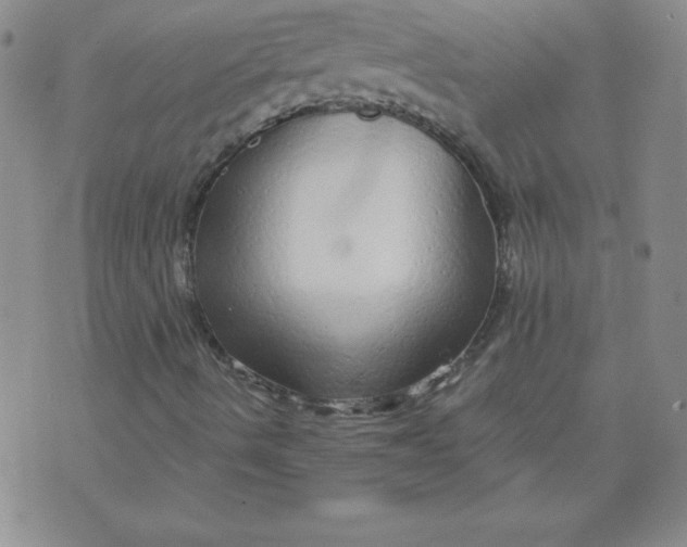 X0000071331490200607141852