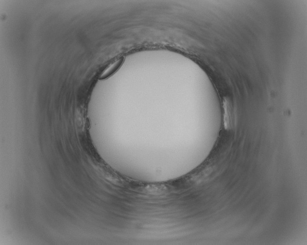 X0000071331491200607141852