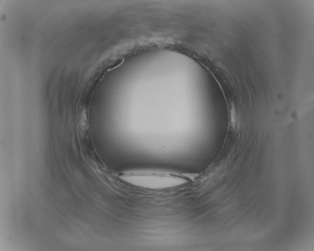 X0000071331492200607141852