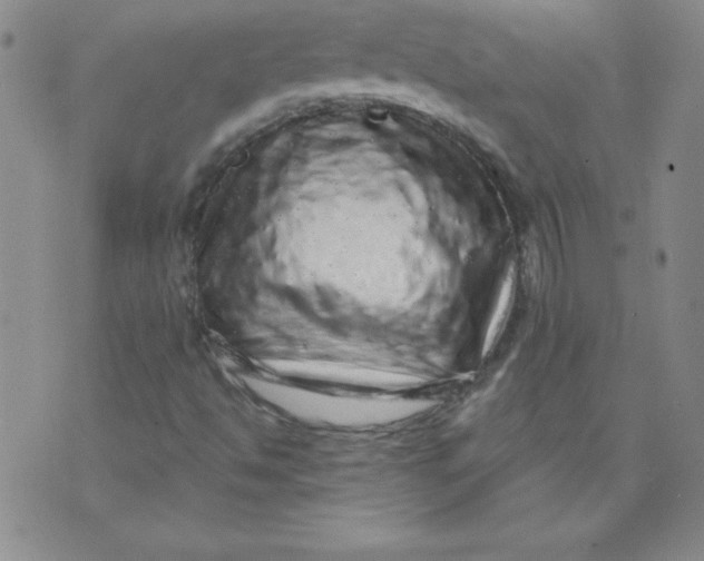 X0000071331494200607141852