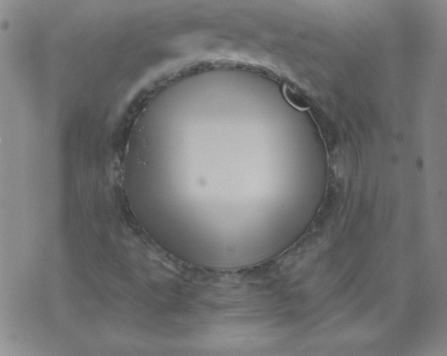 X0000071331495200607141852