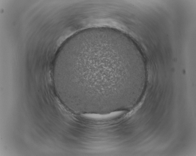 X0000071331497200607141852