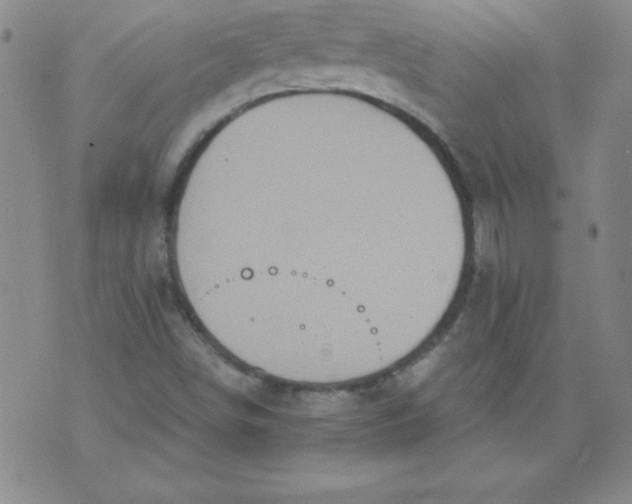 X0000071331498200607141852