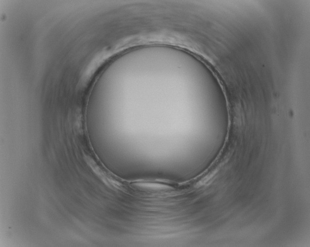 X0000071331499200607141852