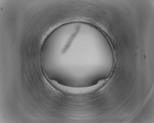 X0000071331500200607141852