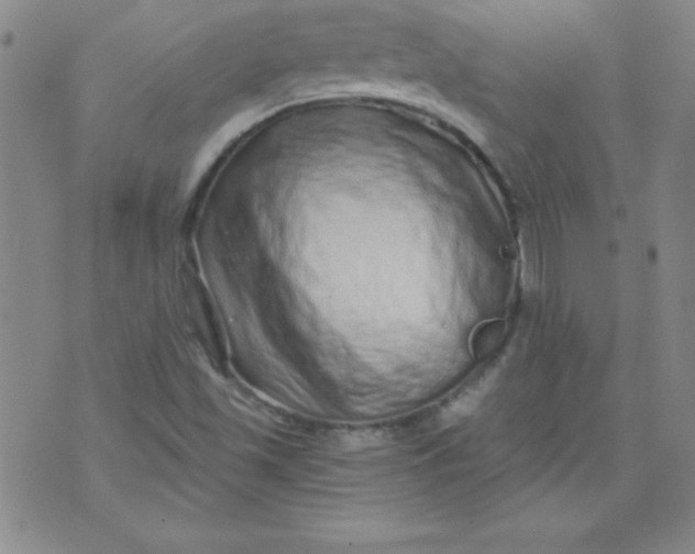 X0000071331501200607141852