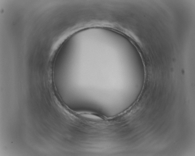 X0000071331504200607141852