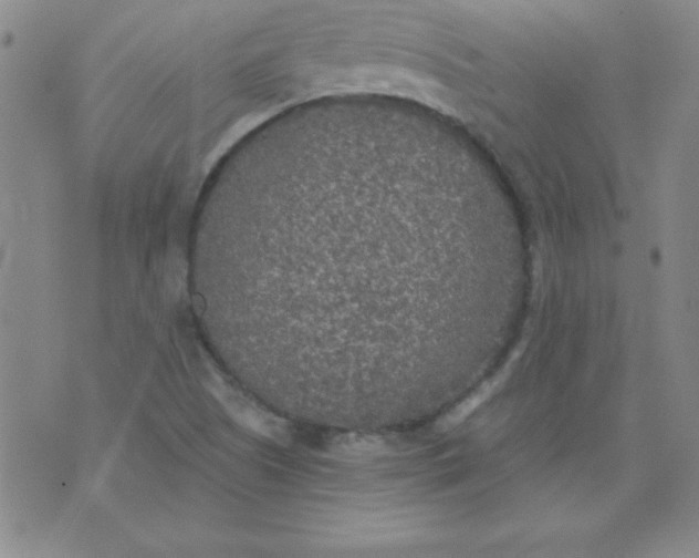 X0000071331505200607141852