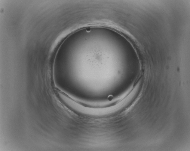 X0000071331506200607141852