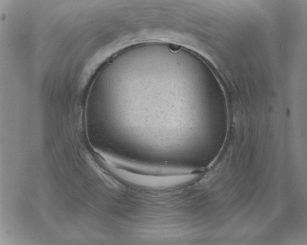 X0000071331507200607141852