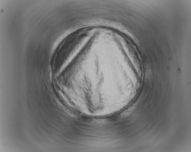 X0000071331509200607141852