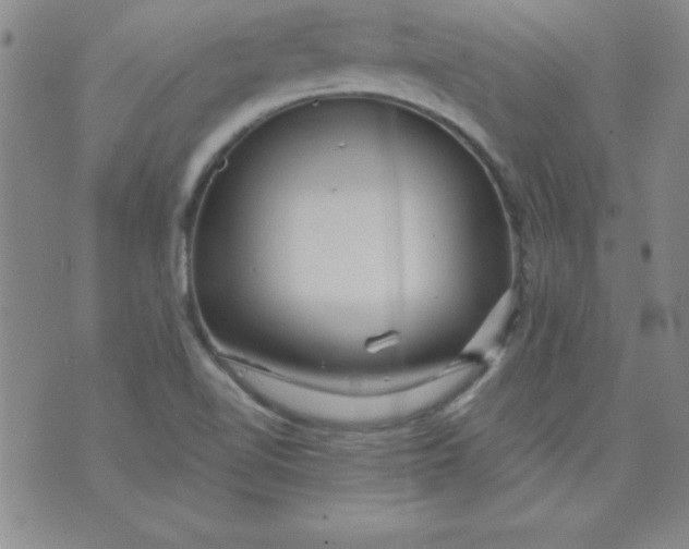 X0000071331510200607141852