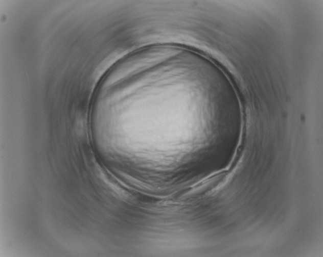 X0000071331513200607141852