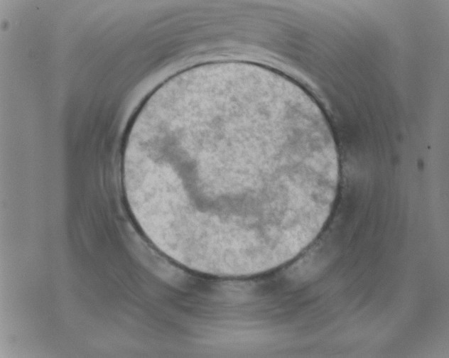 X0000071331514200607141853