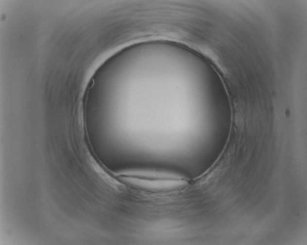 X0000071331516200607141853