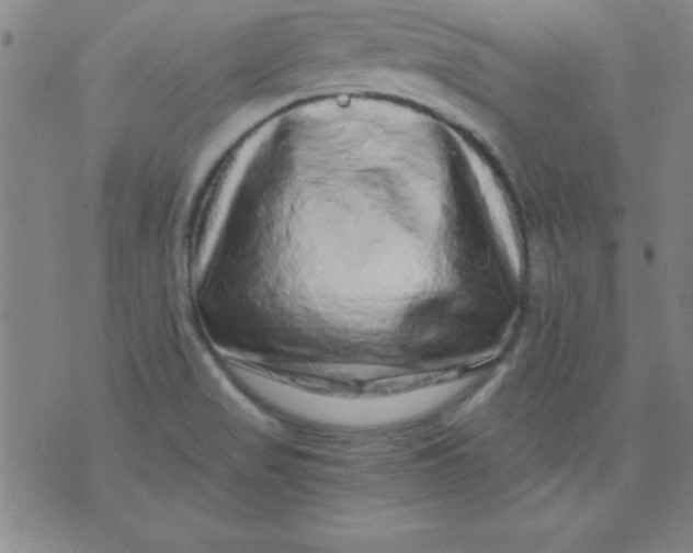 X0000071331517200607141853