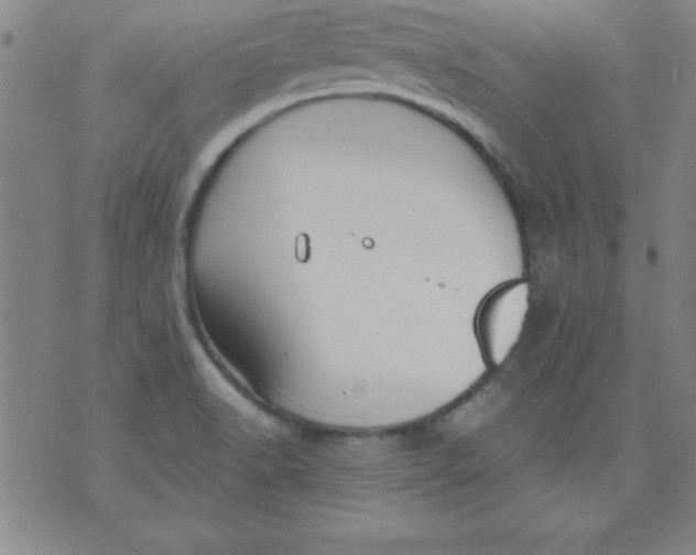 X0000071331518200607141853