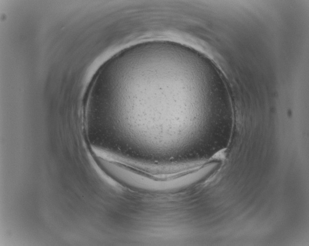 X0000071331519200607141853