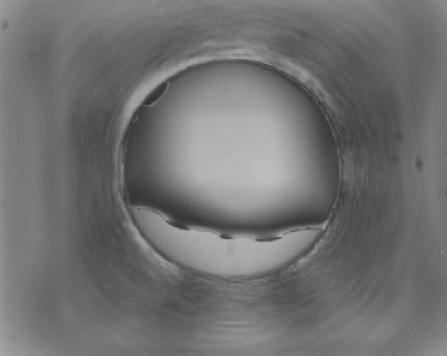 X0000071331520200607141853