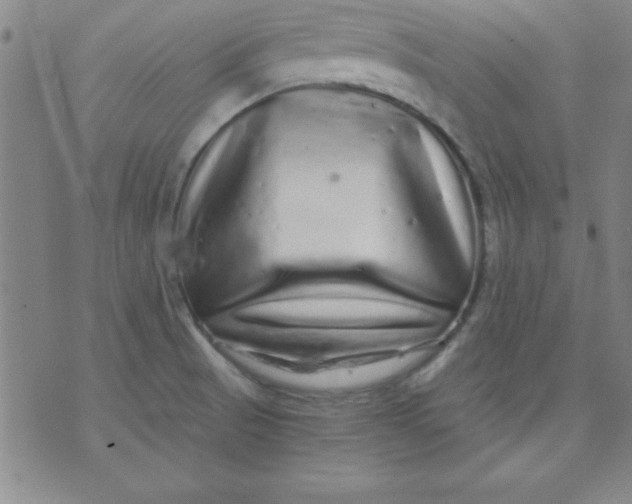 X0000071331521200607141853