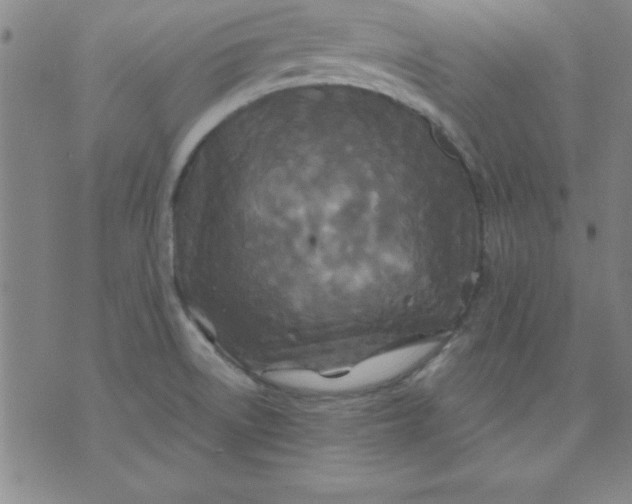 X0000071331522200607141853