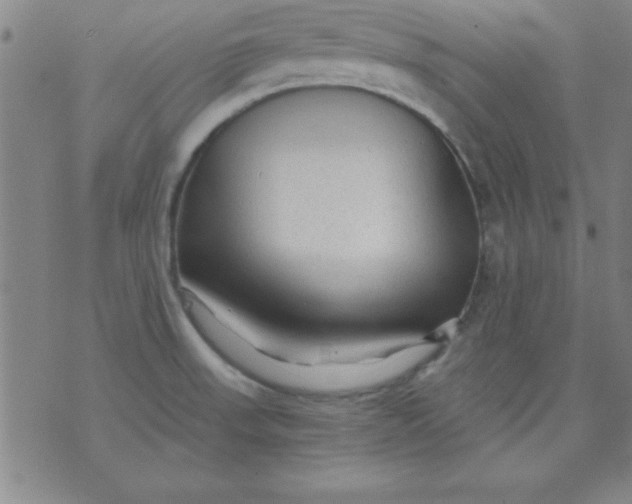 X0000071331523200607141853