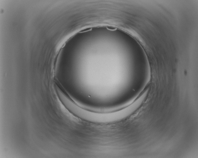 X0000071331524200607141853