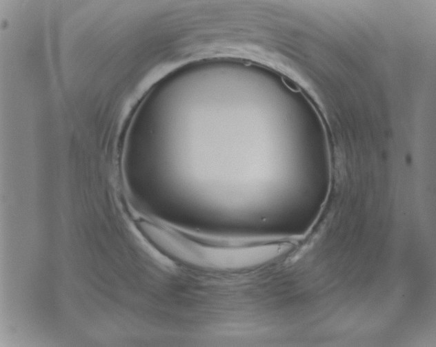 X0000071331525200607141853