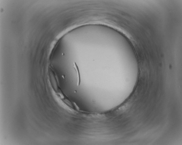 X0000071331526200607141853