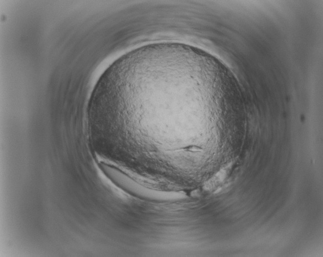 X0000071331527200607141853