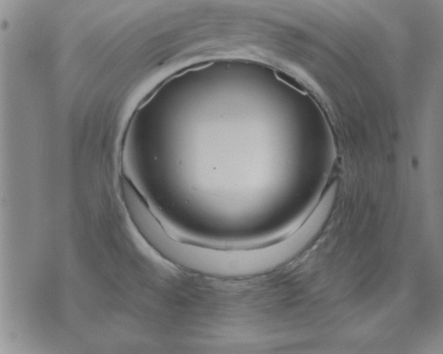 X0000071331528200607141853