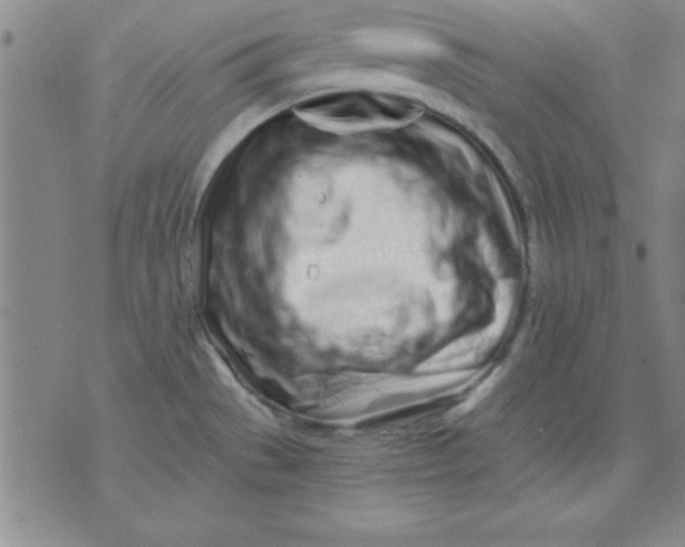 X0000071331529200607141853