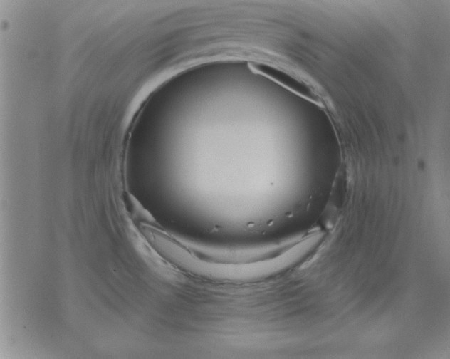 X0000071331530200607141853