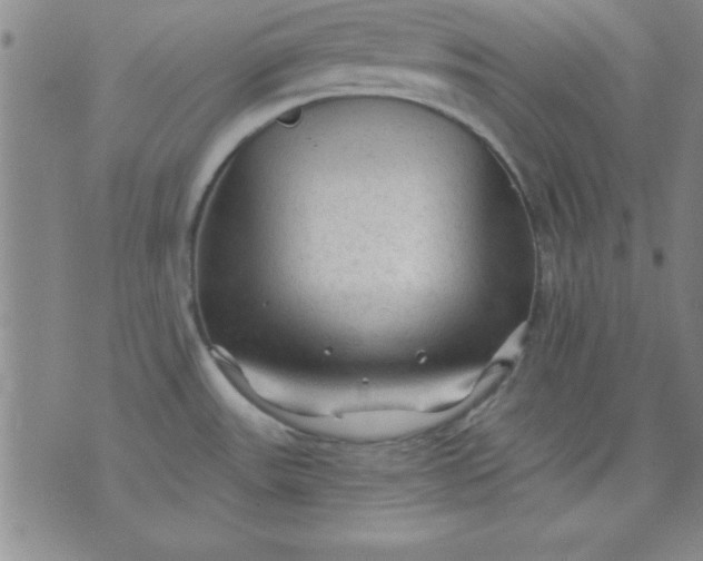 X0000071331531200607141853