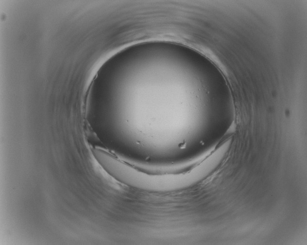 X0000071331532200607141853