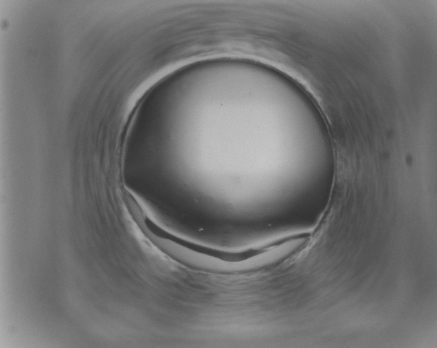 X0000071331534200607141853