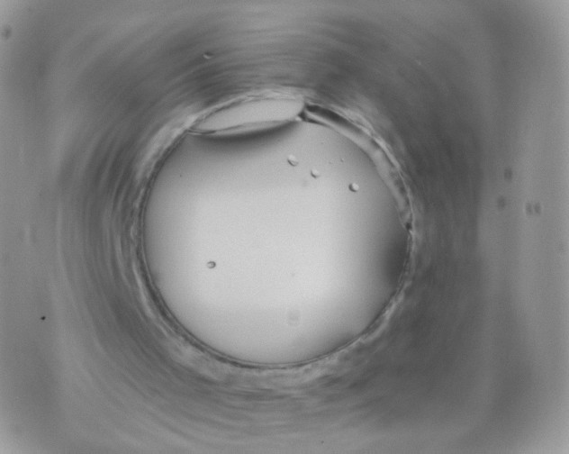 X0000071330001200607212019