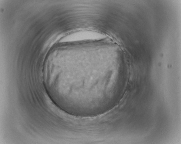 X0000071330002200607212019